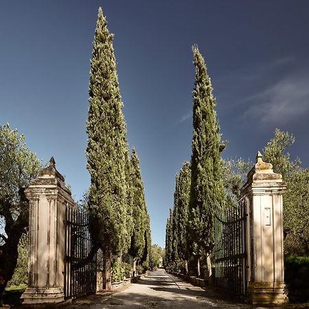Almeira 4Acre Estate, For Unparalleled Seclusion, By Thinkvilla Zakintos Zewnętrze zdjęcie