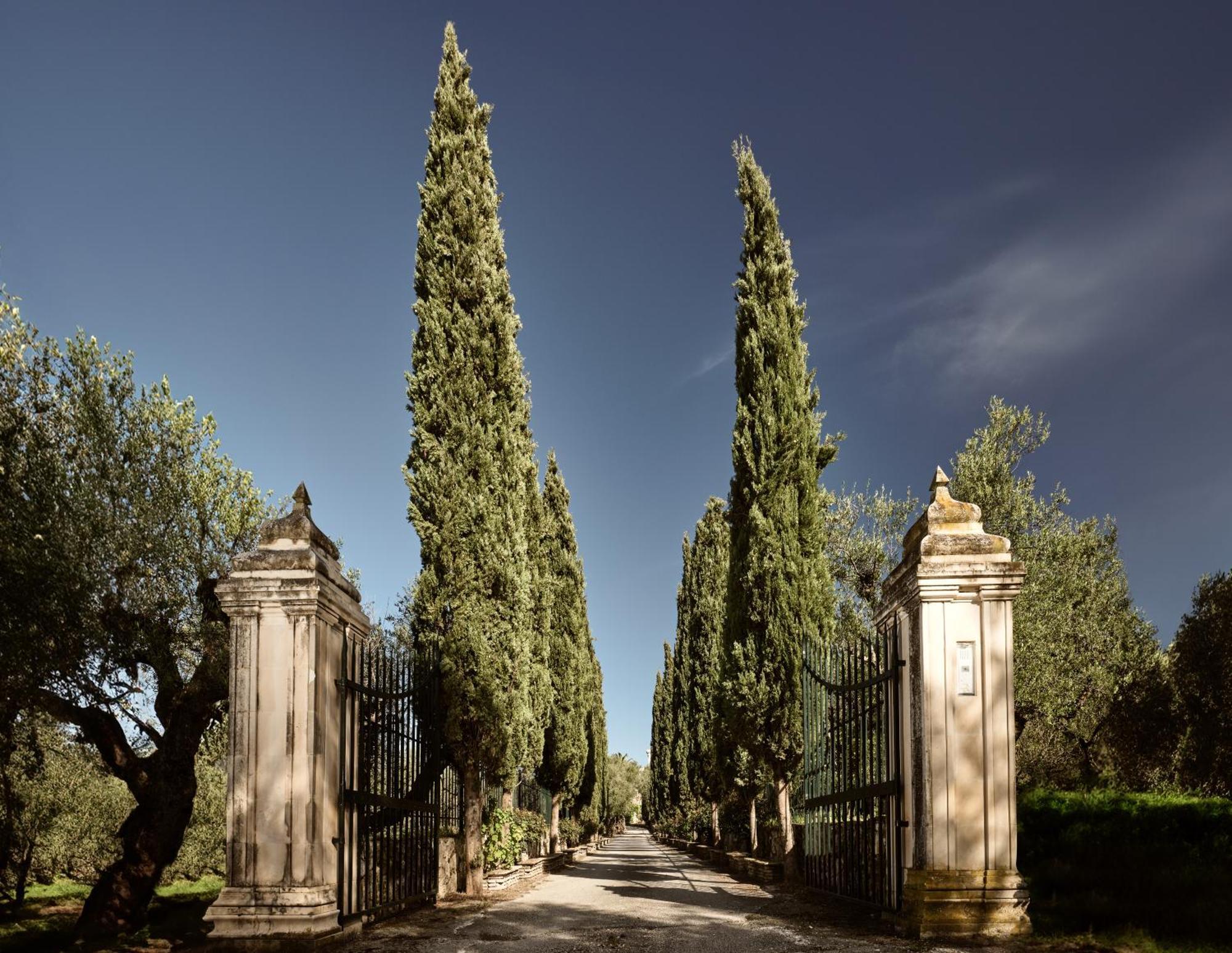 Almeira 4Acre Estate, For Unparalleled Seclusion, By Thinkvilla Zakintos Zewnętrze zdjęcie
